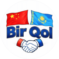 Birqol Group