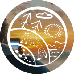 Первые Линии