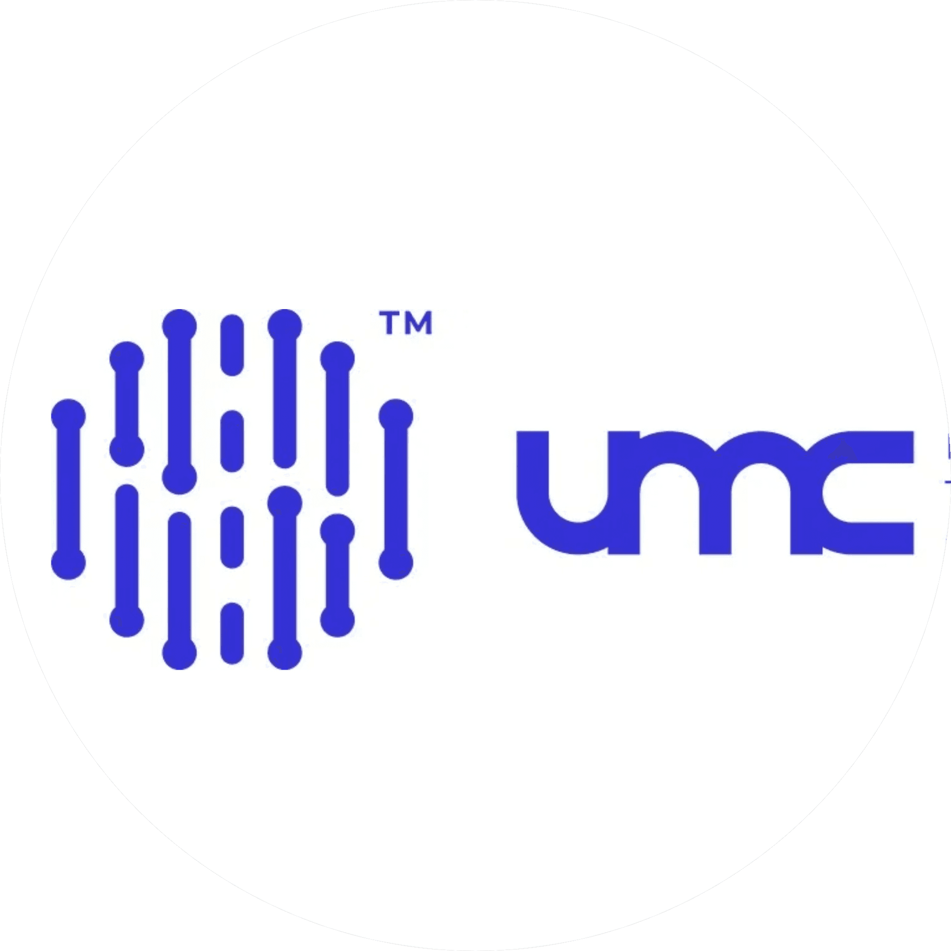 Научно-Производственное Объединение Интеллектуальные Технические Системы