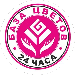 Ит Франчайзинг