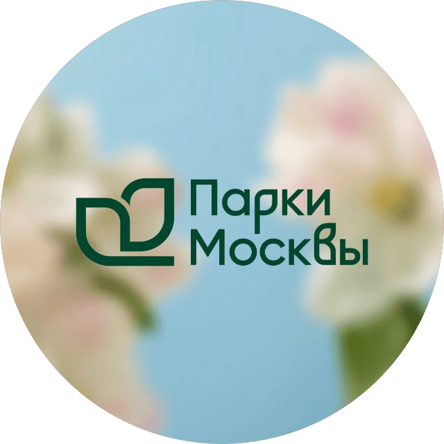 Развитие парков