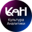 Культура Аналитики