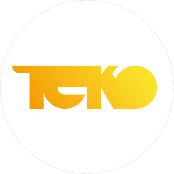 ТЕКО, Научно-производственная компания