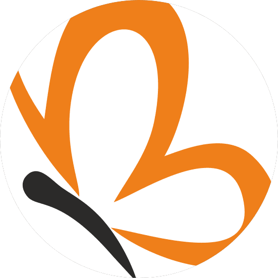 Инженеры информации