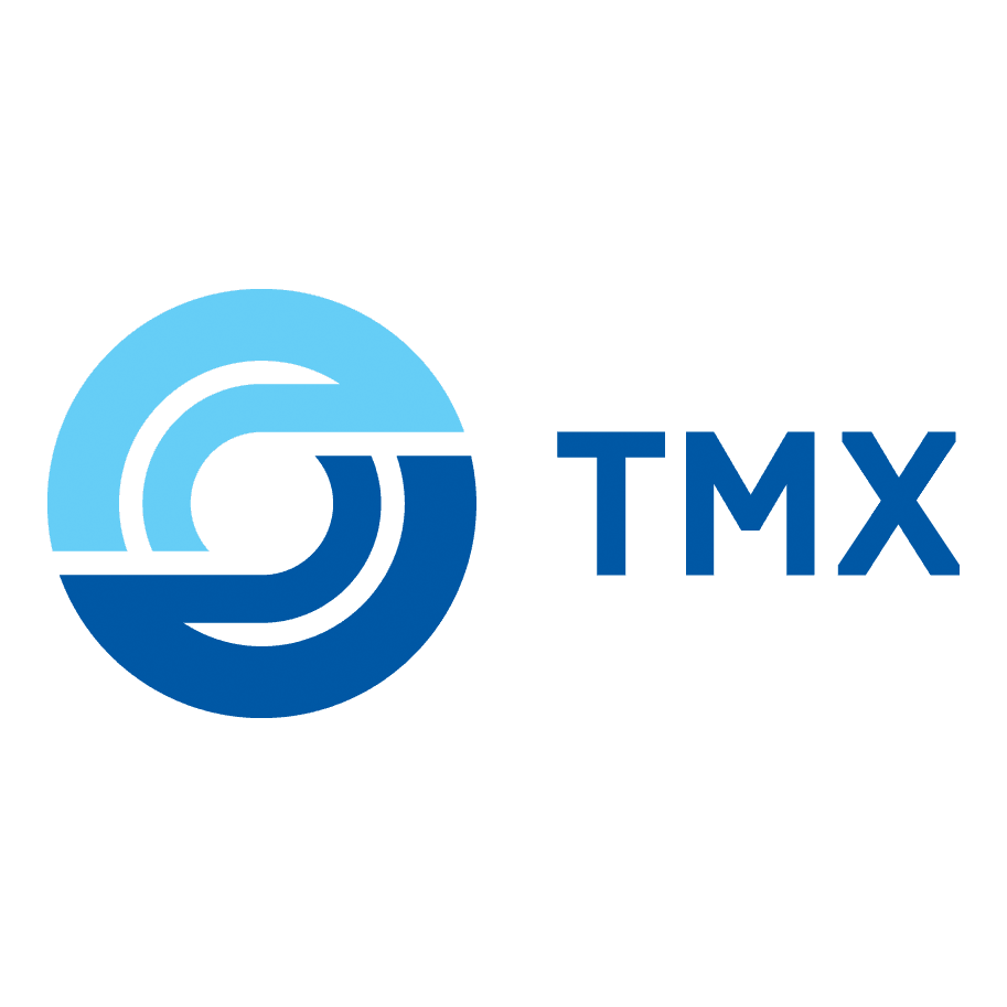 ТрансМашХолдинг, Группа компаний