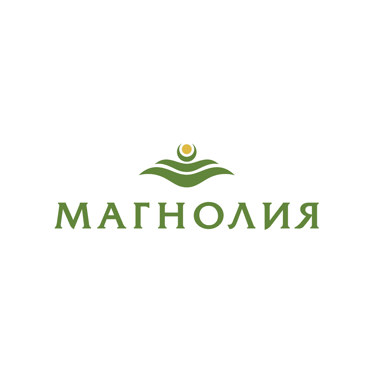 Магнолия, Сеть магазинов