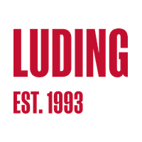 Лудинг