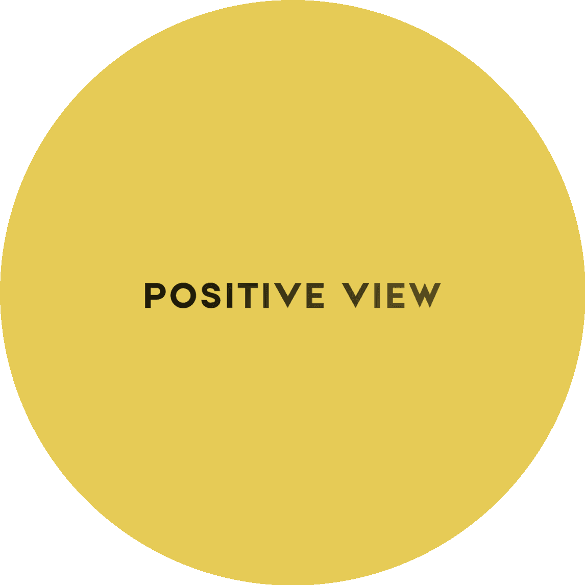 Позитив Вью