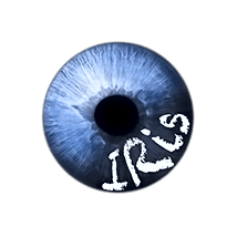 Пичуричкин Антон Сергеевич