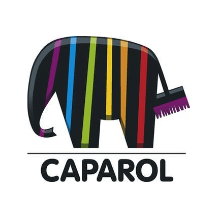 Caparol, Группа компаний
