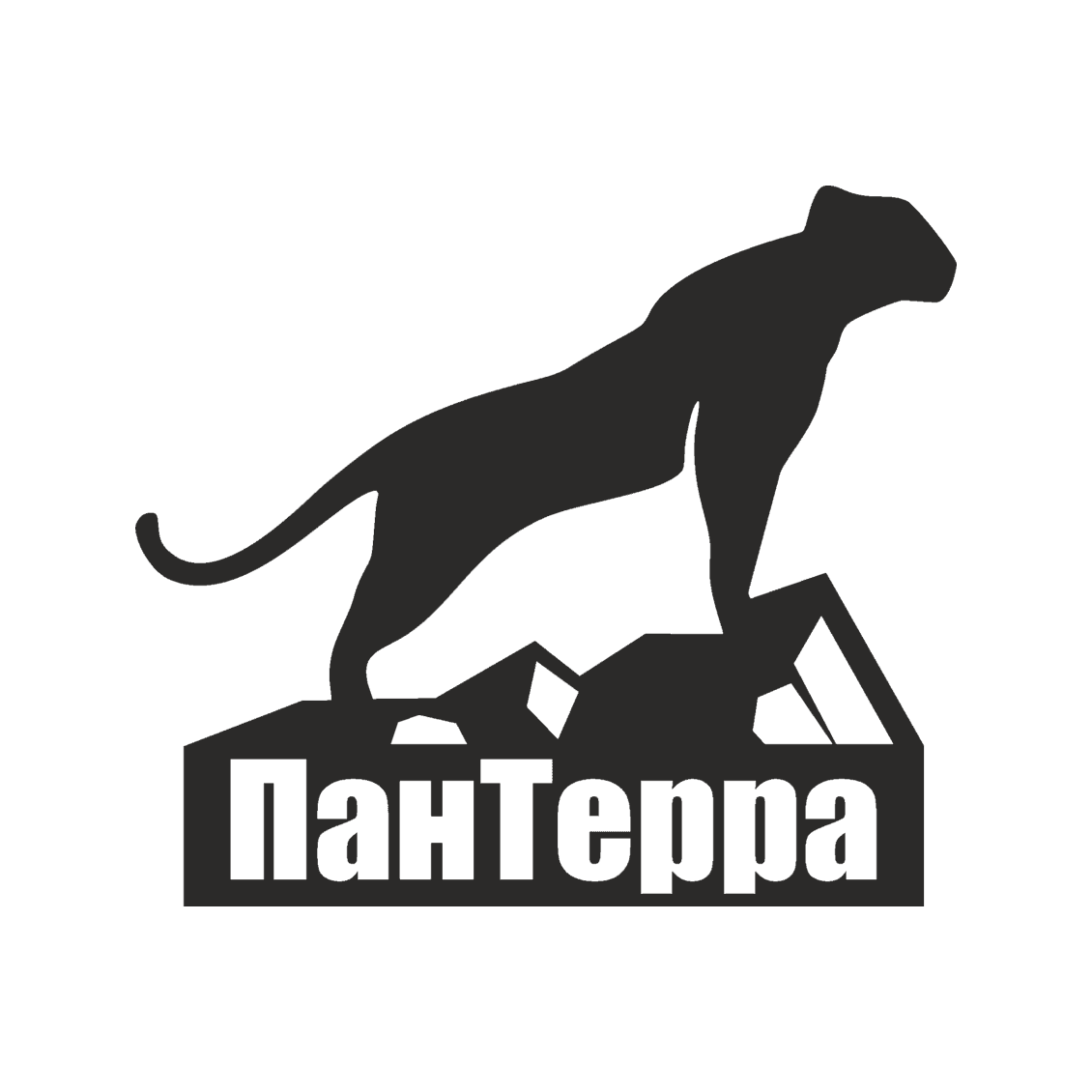 ПанСтройГарант