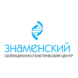 Знаменский СГЦ
