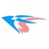 FelenaSoft Company Ltd.