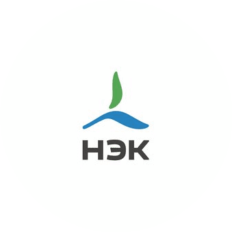 Новая энергетическая компания