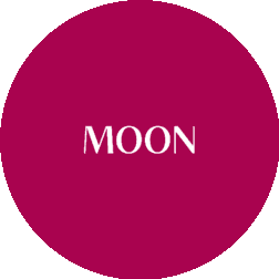 MOON (Группа Компаний)