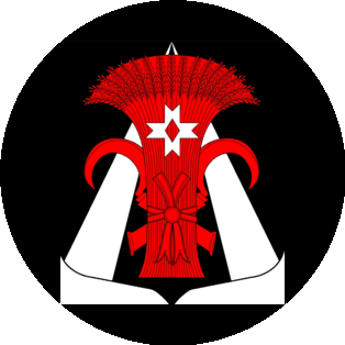 Местная администрация Муниципального образования поселок Шушары