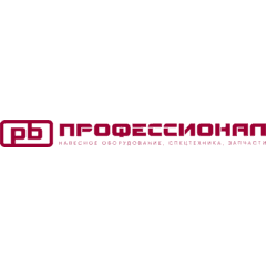 Профессионал