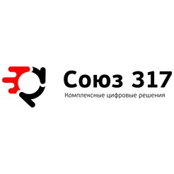 Союз 317
