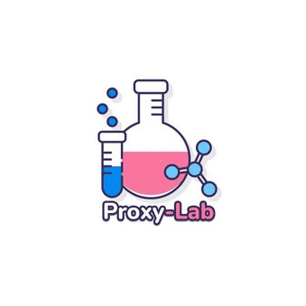 ProxyLab