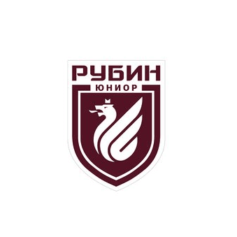 Академия Рубин Юниор